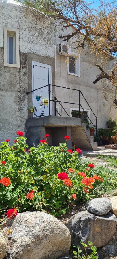 Santa Teresita Διαμέρισμα Cafayate Εξωτερικό φωτογραφία